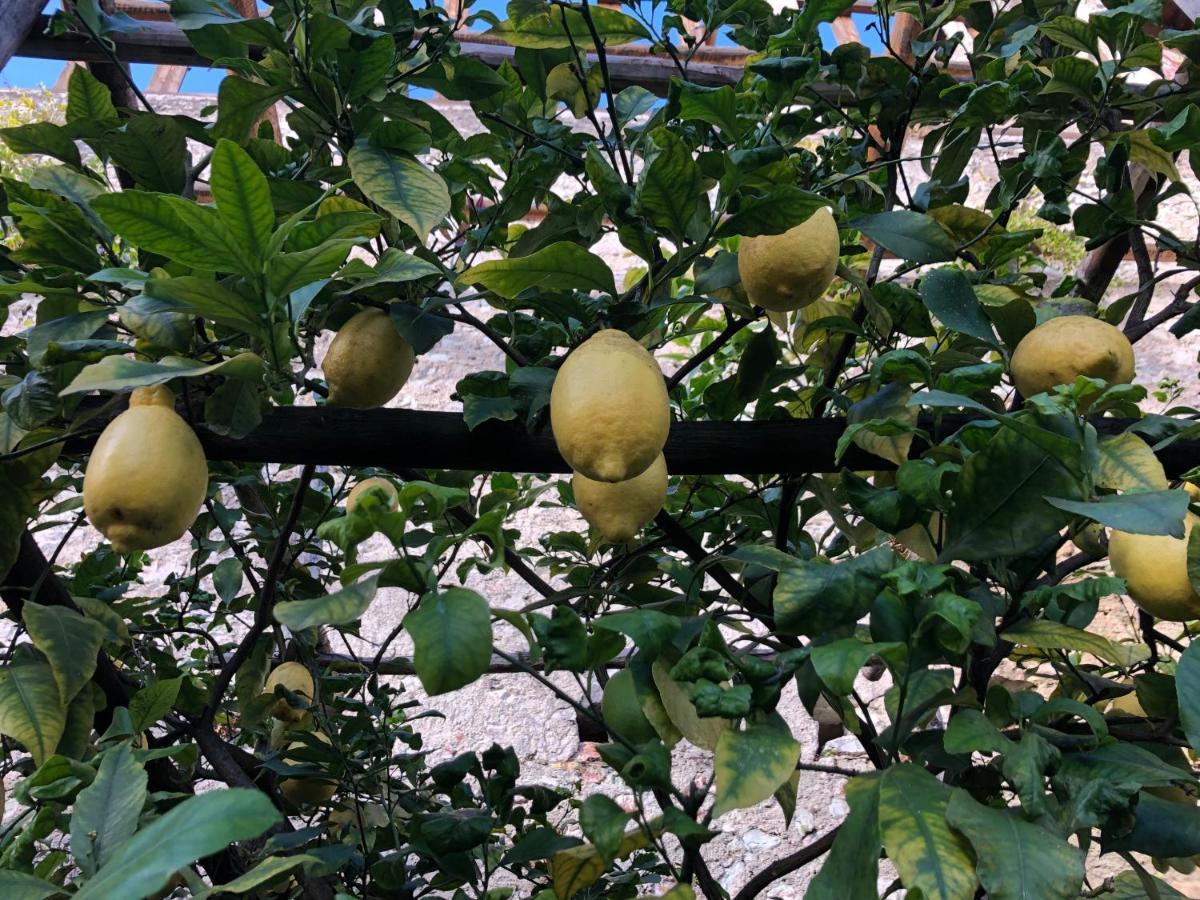 Appartamento Trentino II Comano Terme Eksteriør bilde